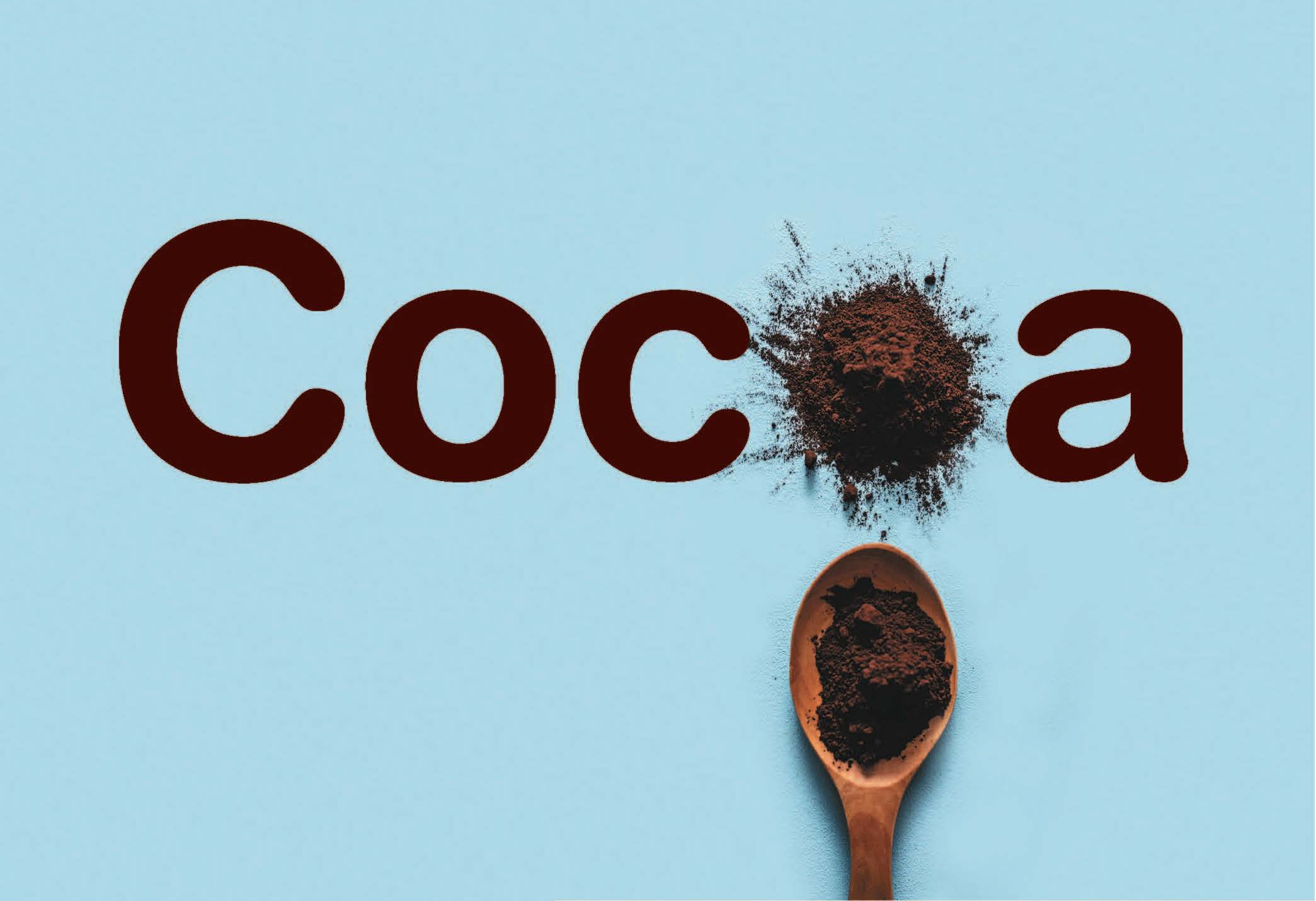 Cropped version of the cover of cocoa